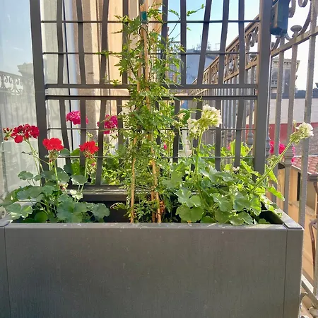 Guest house Raisi & Catania
